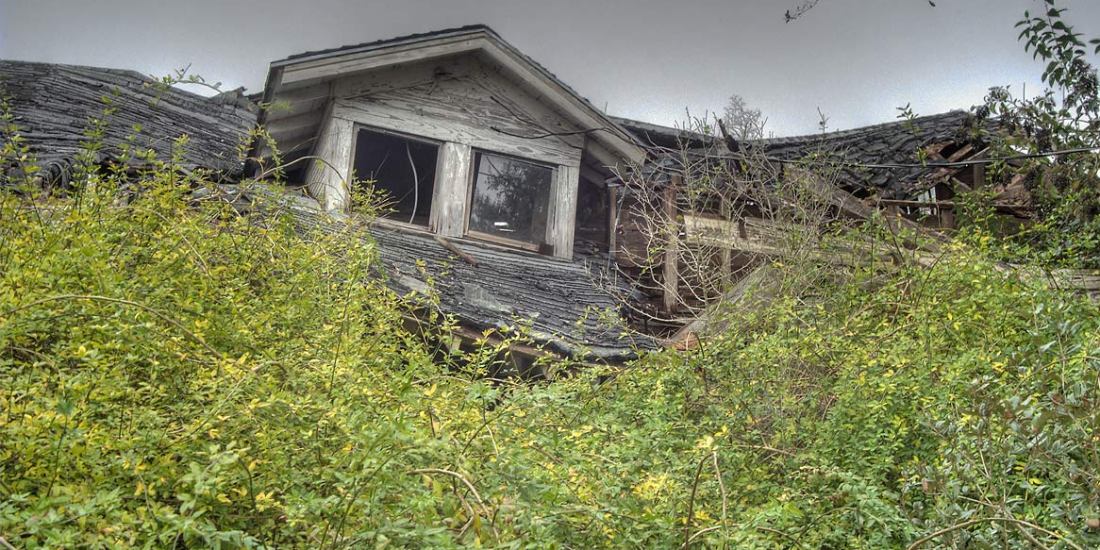 Zombie Foreclosure, Vampire REO, Fallbrook REO, San Diego Foreclosures, Carlsbad Foreclosures, Bonsall REO's, Bonsall Foreclosures